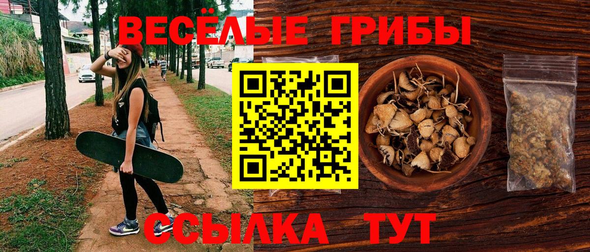Псилоцибиновые грибы мицелий  Вход с VPN  Галлюциногенные грибы GOLDEN TEACHER  Касимов 